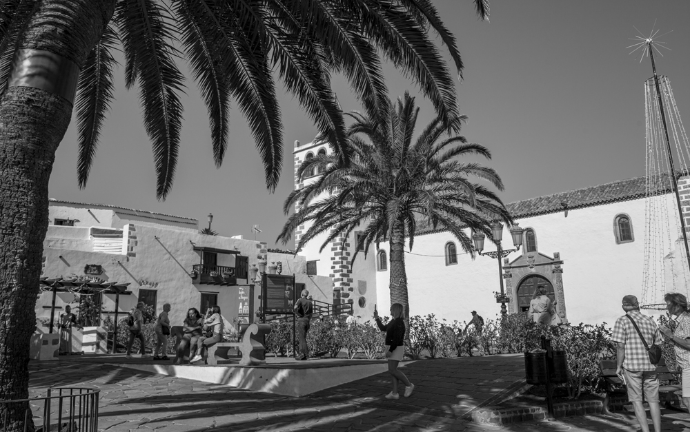 Fuerteventura Canary Islands 